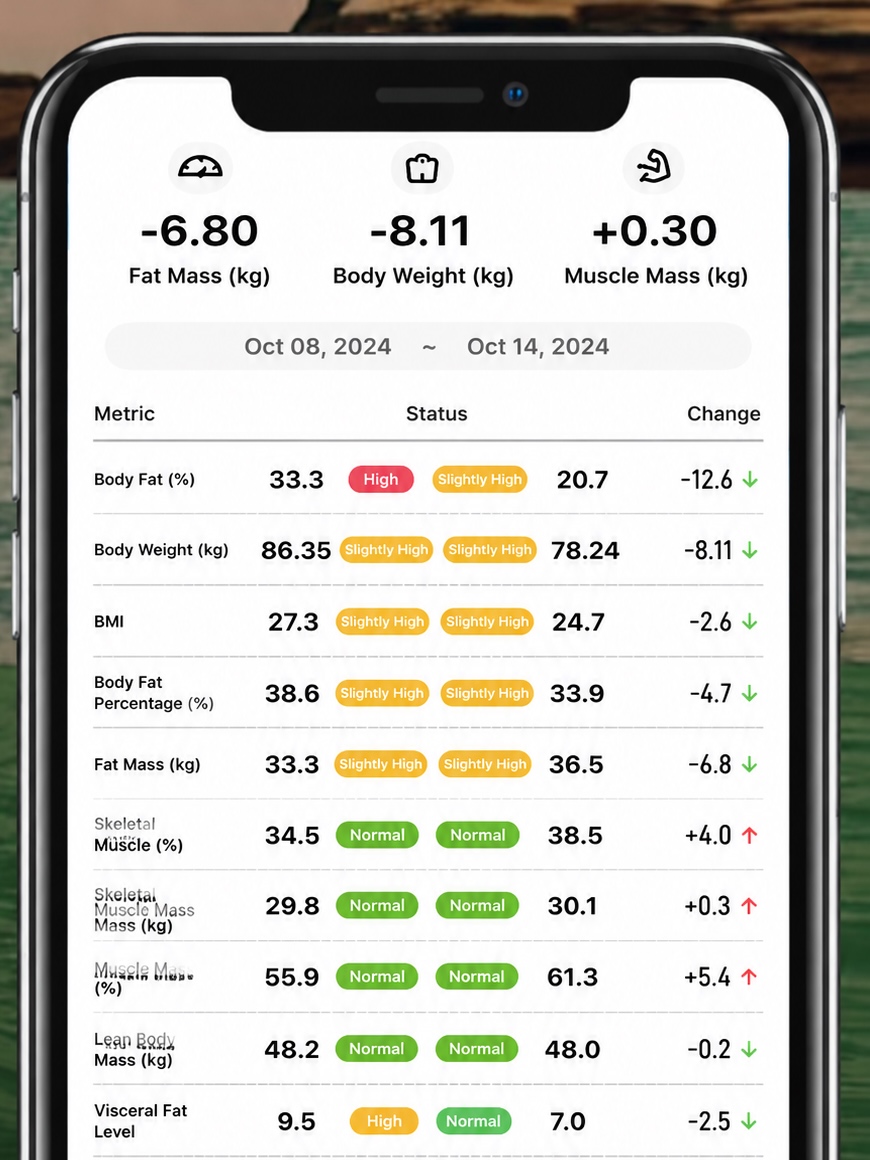 Body composition measurement data — fat mass, body weight and muscle mass changes